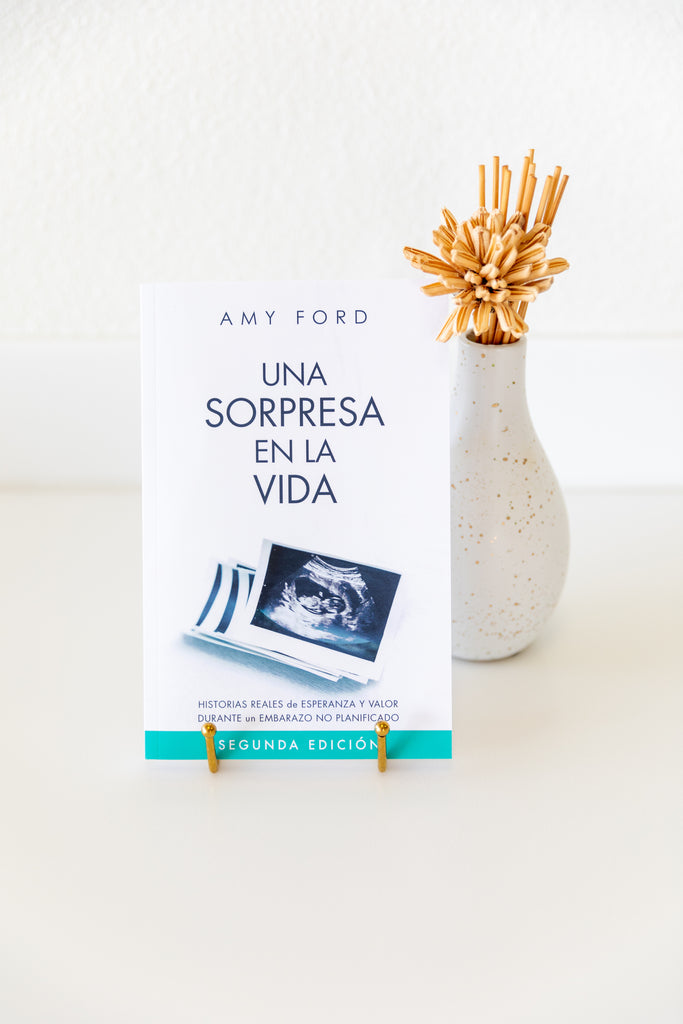 A Bump in Life Book - SPANISH