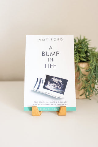 A Bump in Life Book