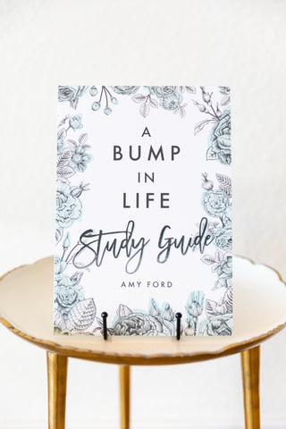 A Bump in Life Study Guide