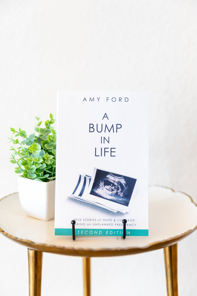 A Bump in Life Book