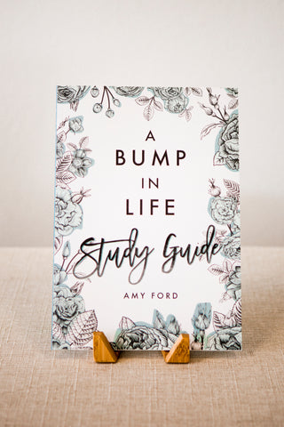 A Bump in Life Study Guide