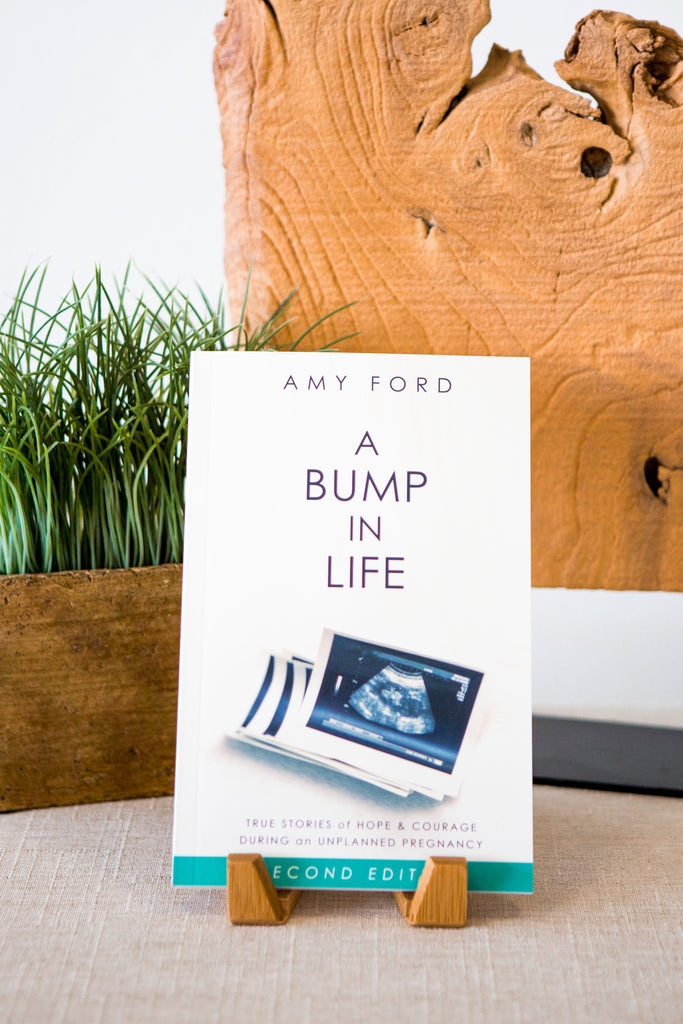 A Bump in Life Book